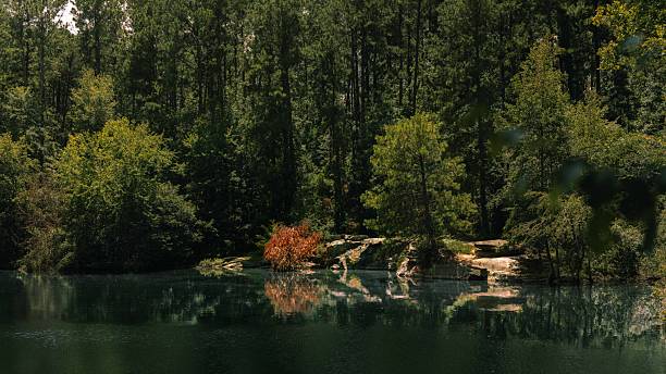 istock Went for a walk in the Grovetown woods 2226227474