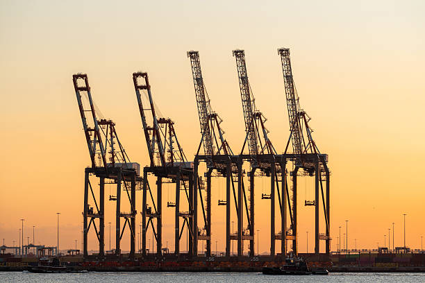 istock Port in USA in full activity during the sunset 2226227546