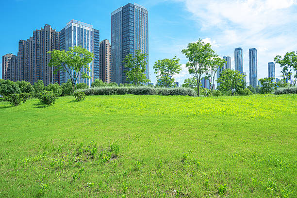 Green grass field in modern urban park