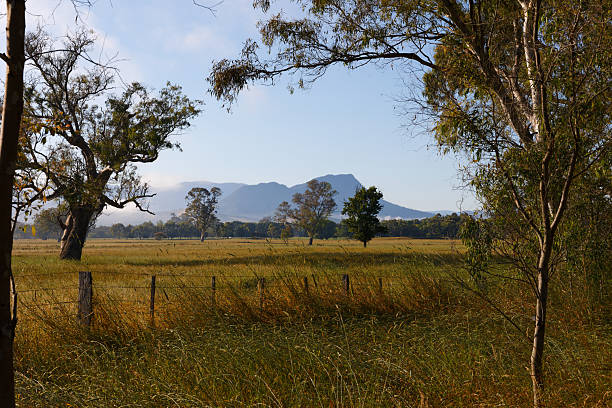 istock Marysville & Surrounds December 2022 2226232559