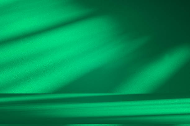 istock Studio style background wall decoration presentation uses white and green tones. with shadows cast from a nearby window, concept creating a decorative 2226232561