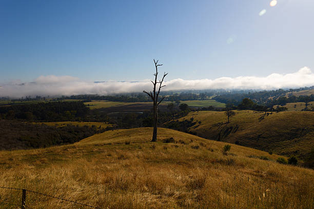 istock Marysville & Surrounds December 2022 2226232594