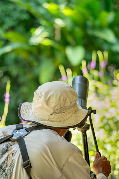man ornitologist looks at or writes down information on the tablet while standing among the tall grass in the wetland