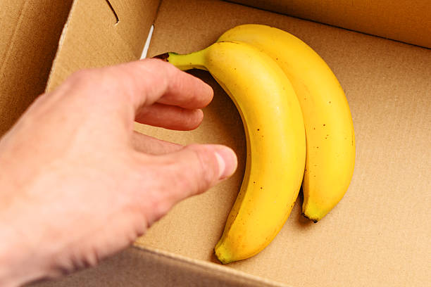 Man hand reaches for bunch of ripe tropical bananas in delivery cardboard box