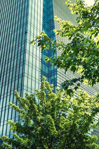 istock Skyscraper with trees in foreground during a sunny day 2226250633