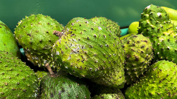 istock Close-Up of Ripe Soursop Fruit on Green Backdrop 2226251272