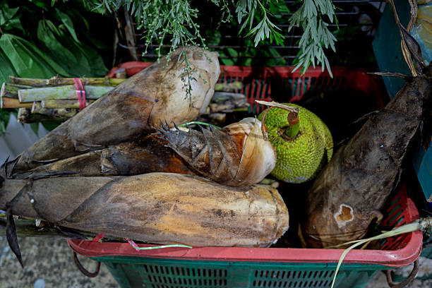 A basket filled with large bamboo shoots and a ripe jackfruit displayed at a local produce market.