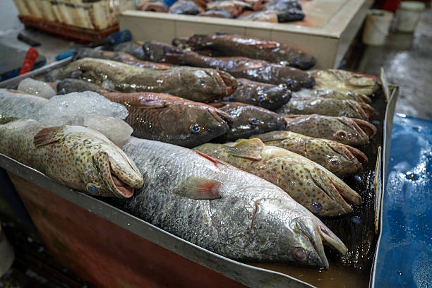 istock Assorted Fresh Fish on Ice at Wet Market Stall 2226253132