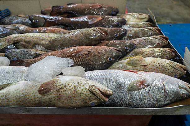 Assorted Fresh Fish on Ice at Wet Market Stall