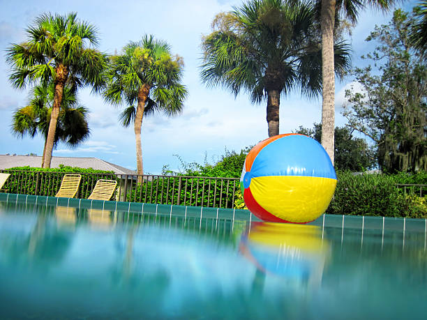 Palm trees and swimming pool with Colorful beach ball in Florida