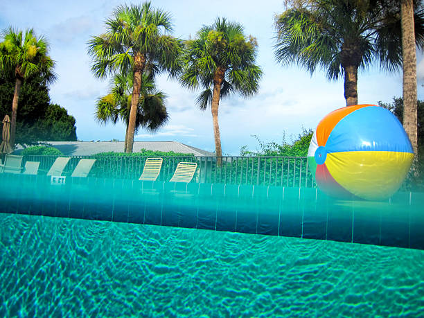 Palm trees and swimming pool with Colorful beach ball in Florida