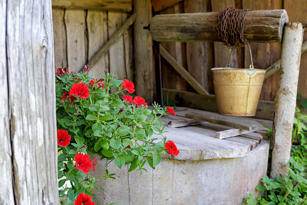 A rustic wooden water well, featuring a golden bucket and chain, adorned with vibrant red petunias in a sunny garden.