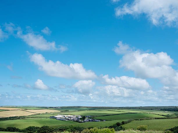old farm and agricultural fields and meadows in north devon landscape near clovelly under blu summer sky