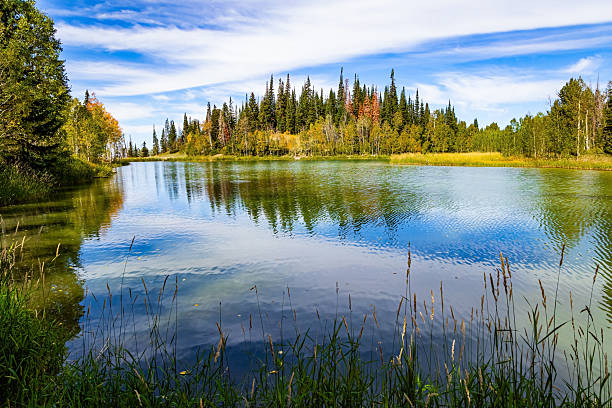 Autumn trip to the western USA. Cloudy sky reflected in smooth cold water of the lake. Quiet lake surrounded by evergreen fir trees. Road to Moab. Utah