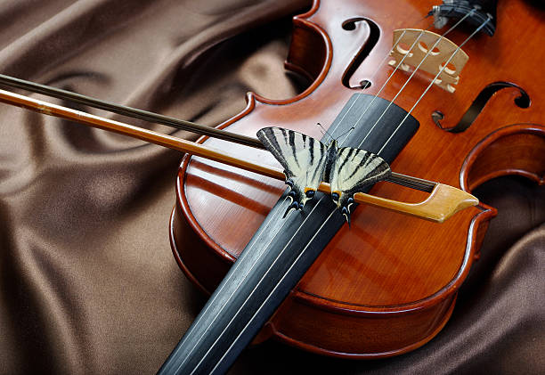 istock violin and butterfly on a silk background. top view 2226269010