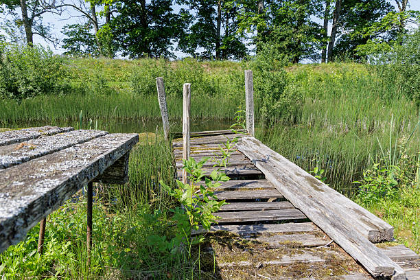 A weathered wooden dock and a small bench by a serene pond, surrounded by abundant green foliage.