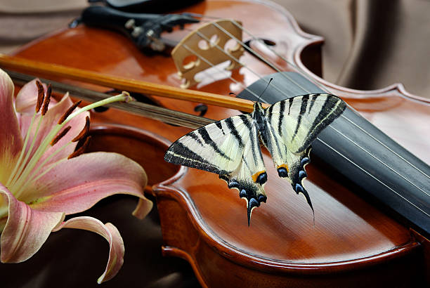 istock violin and butterfly on a silk background. violin and lily. 2226269828
