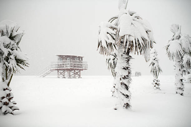 Beach in snowfall in unusually cold weather in tropical climate