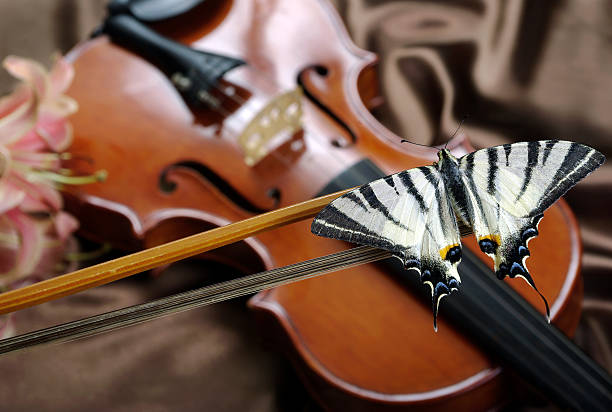 istock violin and butterfly on a silk background. violin and lily. 2226270521