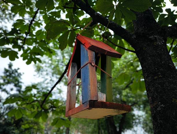 istock wooden bird house, Bird feeder on a tree 2226272186