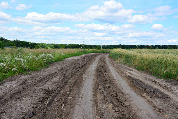 istock Muddy road through a field under a cloudy sky going to the forest 2226274814