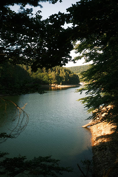 istock A tranquil lake is beautifully surrounded by lush green trees on a sunny day 2226275229