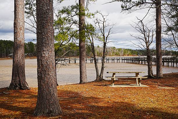 istock Wind Creek State Park and WIldlife Sanctuary Alabama 2226277517