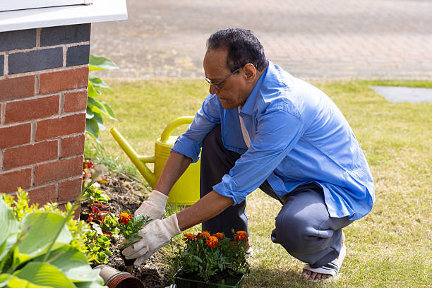 istock Senior Man Gardening in Backyard on a Sunny Day 2226279730