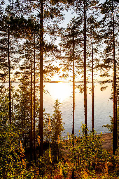 At Lake Päijänne, part of the Salpausselkä UNESCO Geopark in the Päijät-Häme region of Finland.