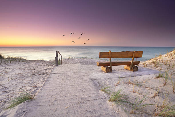 istock Tranquil Sunset Path with Wooden Bench by the Dunes 2226282098