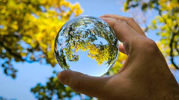 istock autumn trees in the forest seen through the glass ball 2226282321