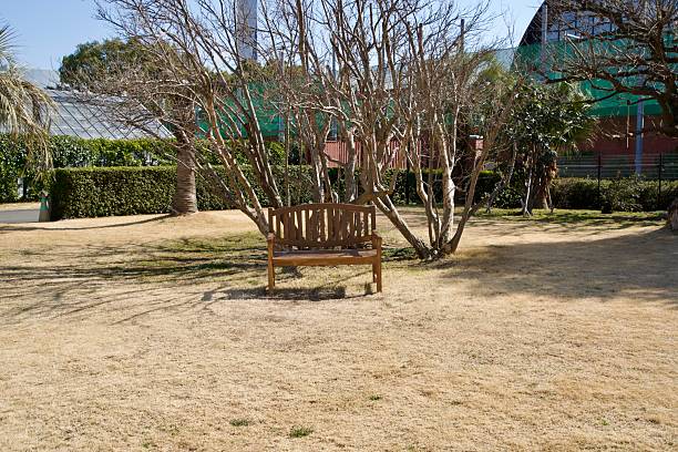 In Tokyo