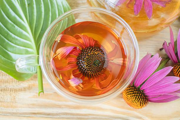 istock Medicinal herbal tea from echinacea flowers. 2226285432