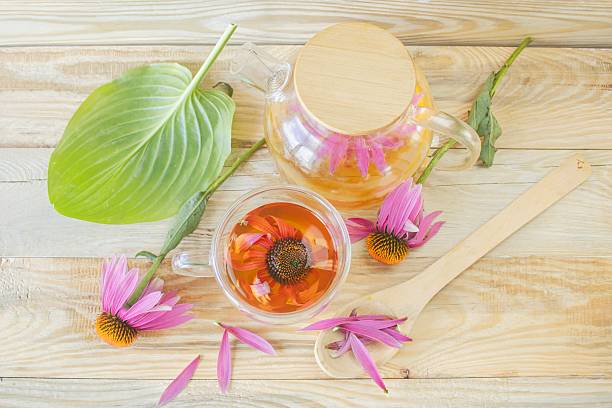 istock Medicinal herbal tea from echinacea flowers. 2226285453