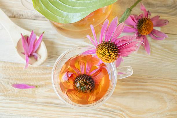 istock Medicinal herbal tea from echinacea flowers. 2226285579