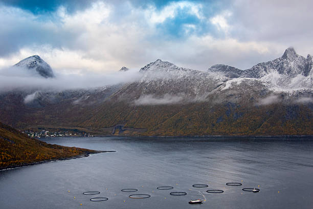 istock Ornfjord on Senja Island 2226286382