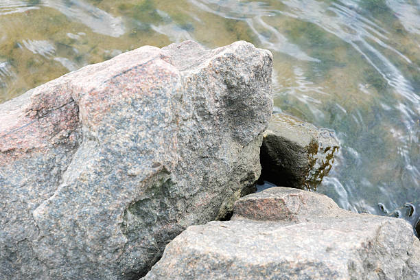 Weathered stones nestled in a shallow stream, showcasing natural textures and earthy tones in a peaceful outdoor setting.