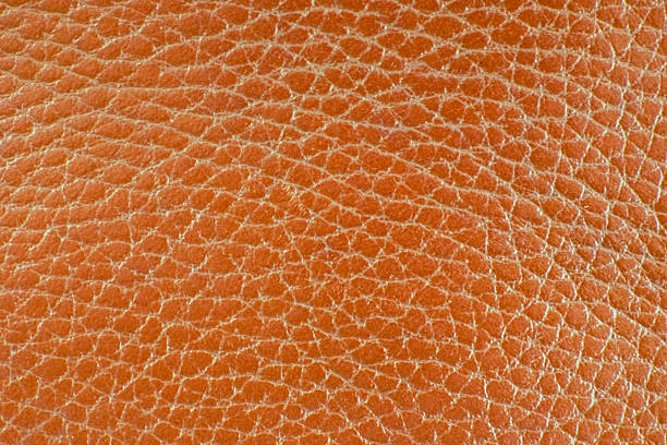 istock Rough abstract pattern, close-up leather, texture, fashion, luxury materials 2226295277