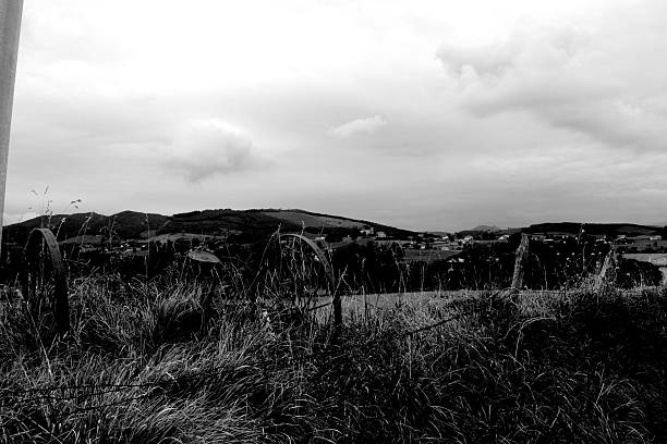Country side fence with grass, north of Spain