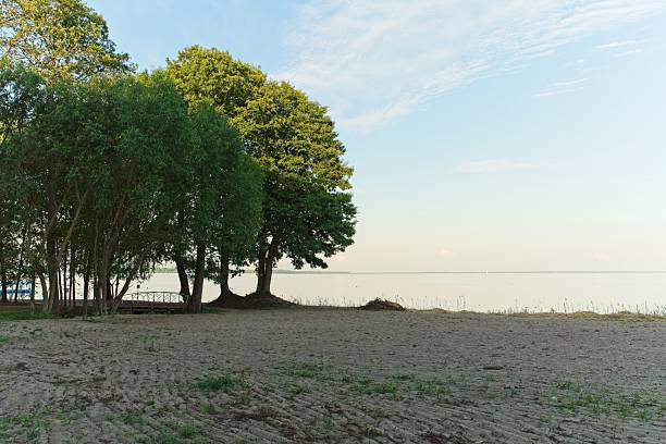 Sandy beach with sparse grass on Lake Narach s shoreline. Several deciduous trees, predominantly green, stand to the left, casting shadows on the sand. The lake s calm surface reflects the clear sky with few clouds. A bench is partially visible under the trees, adding a serene, inviting atmosphere to the scene.