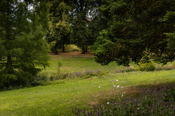 istock A peaceful summer afternoon in a Bad Schwalbach park, inviting quiet contemplation. Idyllic park setting in Bad Schwalbach, perfect for outdoor recreation and peaceful escapes. Verdant greens and soft shadows define a serene park in Bad Schwalbach. 2226297320