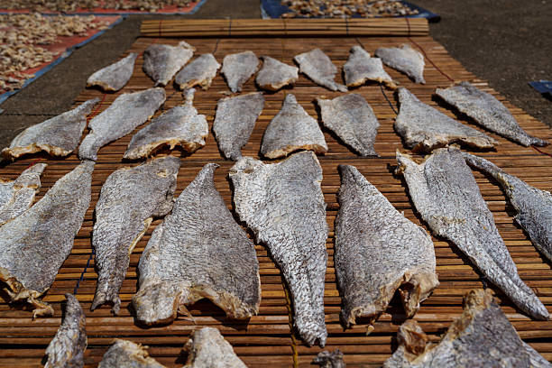 Rows of salted fish fillets laid out on a bamboo mat under the sun for traditional drying at an open-air market in Malaysia.