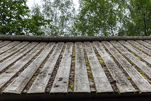 A close-up view of an old wooden roof covered with moss, surrounded by lush green trees in a forest. Highlights the rustic charm and the natural integration of architecture with nature