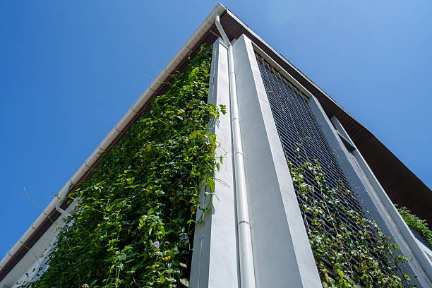 istock Vertical Garden on Modern Building Wall 2226303154