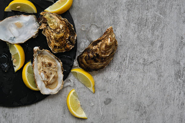istock open oysters and lemons on the table 2226305205