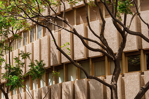 Concrete walls form repetitive textured grid behind layered tree limbs