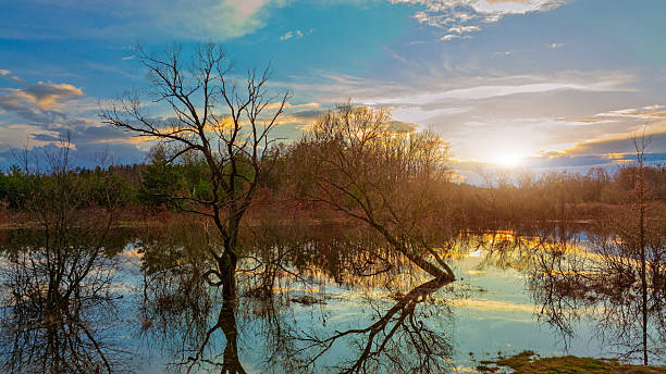 istock panorama swamp landscape waste land wilderness space bare branches dramatic lighting of sunset down horizon line 2226306563