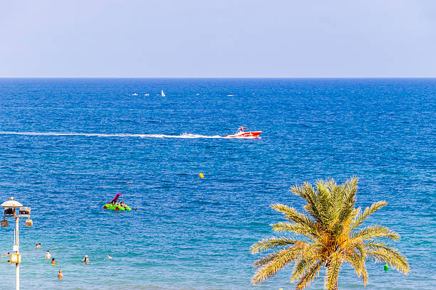 Alicante, Spain - July 11, 2025: A vibrant beach scene features a red boat speeding across the turquoise waters while sunbathers relax on a sandy shore under palm trees.
