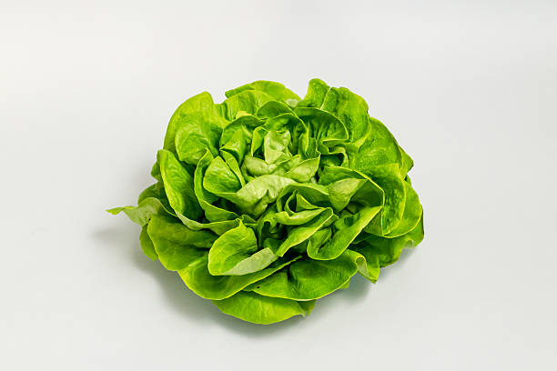 istock Salad lettuce isolated on grey background 2226310606