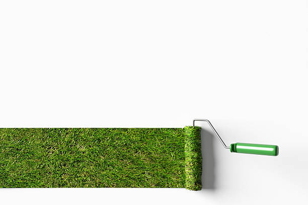 istock Paint roller painting green grass on white background 2226313747